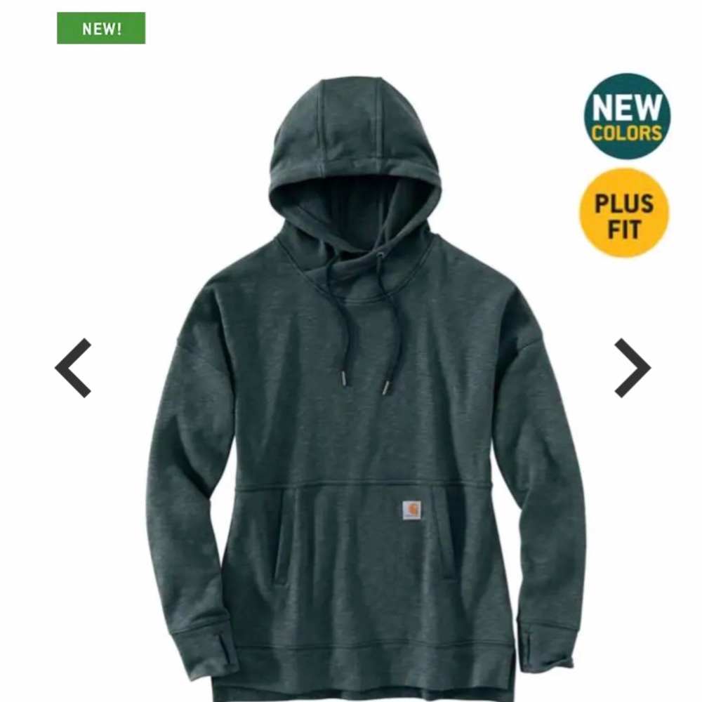 Carhartt Newberry Hoodie